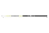 DAIWA Sealine X'Treme Interline Light 764MH 2,25m, 100-250g, Jigger-Meeresangelrute, 11845-226
