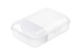 Rotho Fun Vesperdose 0,9l mit herausnehmbarer Trennwand, Kunststoff (PP) BPA-frei, transparent, S/0,9l (17,7 x 12,9 x 6,0 cm)