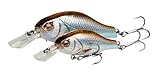 Savage Gear Gravity Crank MR - Premium Wobbling Crankbait für Barsch, Hecht, Forelle, Zander & Barsch, magnetisches Weitwurfsystem & eingebaute Rassel, Süß- und Salzwasserangeln Perch 5,8 cm