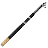 Roy Fishers Allround Tele Heavy - 3,60m - 40-80g | Teleskoprute