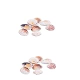 MAGICLULU 100 STK Hochzeitsdeko Mischen Venusmuscheln