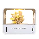 Crownow Pilze Züchten Set mit Temperatur Feuchtigkeitsanzeige,Intelligente Pilzzuchtset Indoor-Stillluftbox mit Wachstumslicht,Pilze Growbox für Pilzzüchter