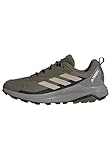 adidas Herren Terrex Anylander Hiking Shoes Wanderschuhe, Olive Strata/Wonder Beige/Core Black, 44 EU