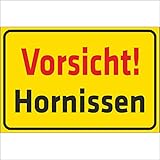 INDIGOS UG - Schild Vorsicht! Hornissen - 600x400 mm - 3mm Aluverbund Schilder für Hotel, Firma, Schutz, Kita, Arzt, Praxis, Wohnung - UV- & wetterbeständig - Hinweisschild - Warnschild