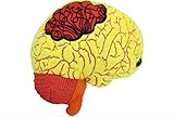 GIANTmicrobes Angstplüschtier, Emotionale Unterstützung, Plüsch, Geschenk für psychische Gesundheit, Therapeuten, Therapeuten, Psychologie-Geschenk, psychische Gesundheit, Angstkissen
