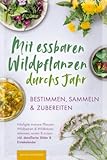 Mit essbaren Wildpflanzen durchs Jahr - bestimmen, sammeln & zubereiten: Häufigste essbare Pflanzen, Wildbeeren & Wildkräuter erkennen, ernten & nutzen inkl. detaillierter Bilder & Erntekalender