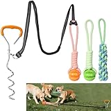 Moxzolo Bungee Tether Tug Outdoor Dog Toy for Dogs, Tug of War Toy with Stake, 2 Spielbällen & Stockspiel – Interaktives Outdoor-Hundespielzeug für Gärten und Mehrhaustierhaushalte