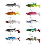 Angelköder Set, 10 Stück Gummifische mit Jigkopf, Kunstköder, Gummiköder, Süßwasser Salzwasser Fischen Geschenk für Barsch Weiches Mandarinenfisch Pferdemaul Tilapia