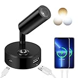 ERWEY 12V LED Leselampe Wohnmobil,Bettlampe mit USB A+C-Anschlüssen,Touch Control 3 Farbmodi und Stufenloses Dimmbar, drehbare Wandlampe für Boot Auto Camper Van Yacht, Schwarz