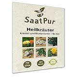 SaatPur® Saatgut Heilkräuter 6er Set für ca. 300 Pflanzen, Kräutersamen, Blumensamen, 6 Saattüten: Spitzwegerich, Löwenzahn, Brennnessel, Ringelblume, Gänseblümchen, Schafgarbe, Graspapier-Verpackung