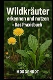 Wildkräuter erkennen und nutzen I Das Praxisbuch: Wildkräuter für Gesundheit, Küche und Selbstversorgung