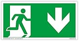 Schild Notausgang | extra langnachleuchtend | PVC selbstklebend 297x148mm | gemäß ASR A1.3 DIN 7010 DIN 67510 | Notausgangsschild Pfeil nach unten | Fluchtwegschild Rettungsweg | Dreifke® extra 160