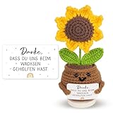BETESSIN Abschiedsgeschenk Erzieherin - Pocket Hug Sonnenblume aus Strickwolle - Positive Kartoffel mit Dankesworten - Kreative Glücksbringer Geschenke für Lehrerin & Erzieherin zum Kita Abschied