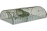 Kerbl cit Ratten-Massenfänger Alive MultiRat (L x B x H 40 x 24 x 18 cm, halbrunde Form, inkl. Falltüre, Mausefalle) 299620