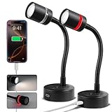 acegoo 2 x Leselampe 12V Wohnmobil LED Lampe, Dimmbar 4000K & Rotes Nachtlicht Eingebautes Typ-C Ladegerät, Flexible Schwanenhals für Boot Wohnwagen Camper Yacht Innenbeleuchtung, Wandmontage (Kurz)