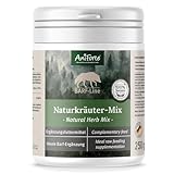 AniForte Barf Naturkräuter Mix für Hunde 250 g - Unterstützt Verdauung, optimiert Immunsystem, Kräuter für Hunde mit Enzymen, Chlorophyll & Vitaminen, Perfekter Barf Zusatz als Naturprodukt