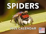 Spinnen-Kalender 2026 Spiders Wall