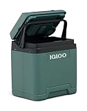 IGLOO elektrische Kühlbox IE27 für Auto und Steckdose, 27L, 12V und 230V