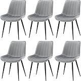 FRUOGO Esszimmerstühle 6er Set,Samt Polesterstuhl,Robuste Metallbeine,Modernes Streifendesign für Esszimmer,Wohnzimmer,Küche,Lounge,Grau