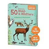 Moses 9739 Expedition Natur - 50 heimische Wald und Wildtiere | Bestimmungskarten im Set | Mit spannenden Quizfragen