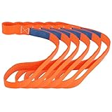 GEARMONSTER 6TLG Gurtschlaufen 450x38mm, Zurrschlaufen 1000kg Spanngurte Schlaufe, Spanngurt 1.000 daN für Auto Motorrad Camping Klettern Aufhängung Transport Ladungssicherung Zurrgurt, EN-12195-2