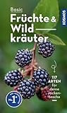 BASIC Früchte und Wildkräuter: 117 Arten einfach und sicher erkennen - In drei Schritten zur richtigen Art