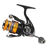 Daiwa 24 Ninja BG LT 2000 Black Gold Edition Angelrolle
