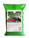 Linsor Schildkrötenweide, 1kg für 100m², Futterpflanzen für Landschildkröten, Wildkräuter, Saatgut Mischung