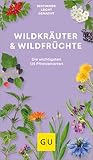 Wildkräuter & Wildfrüchte bestimmen leicht gemacht: Bestimmen leicht gemacht. Die wichtigsten 125 Pflanzenarten. Extra: Typische Merkmale (GU Natur)