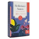 Heilkräutersamen - 12 samenfeste Heilkräutersorten für den Garten, das Hochbeet oder den Balkon - traditionell & wohltuend - Einsteiger-Saatgutset als kleines Geschenk oder für den Eigenbedarf