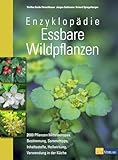 Enzyklopädie Essbare Wildpflanzen: 2000 Pflanzen Mitteleuropas. Bestimmung nach Blattformen, Sammeltipps, Inhaltsstoffe, Heilwirkung, Giftpflanzen-Extrateil. Vollständig aktualisiertes Standardwerk