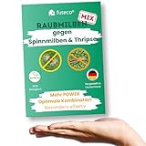 Futeco® – Raubmilben MIX gegen Spinnmilben & Thripse bei Gemüse-, Cannab.- & Zierpflanzen - 3 Mix = 6 Tüten für 3-4 Pflanzen - optimale Kombination von Raubmilben - besonders effektiv
