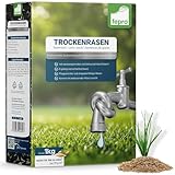 1 kg Rasensamen trockenresistent dürreresistent für Trockenrasen & Schattenrasen Samen Grassamen schnellkeimend, 40m², ideal für Neuansaat und Nachsaat, Rasensaat Grassamen
