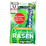 halmland® Rasensamen schnellkeimend Schattenrasen 1kg = 30m² Frühjahr - SEHR GUT getestet - trockenresistent - Schattenrasensamen Rasensaat Nachsaat