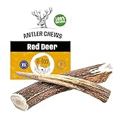 RF-Deer Hundesnack Rothirsch Geweih Kausnack - Hirschgeweih für Hunde, 100% Natürlicher, Kauspielzeug Hund, Hundespielzeug Kauknochen für Genuss und Zahnpflege (L, Hard - 1 Stück)