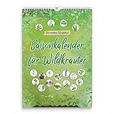 Saisonkalender für Wildkräuter - ewiger Erntekalender für Wildpflanzen - die moderne Kräuterhexe