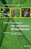 Kleine Enzyklopädie der essbaren Wildpflanzen: 1000 Pflanzen tabellarisch, mit 300 Farbfotos