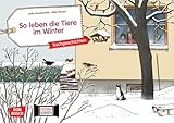 So leben die Tiere im Winter. Kamishibai Bildkartenset.: Entdecken - Erzählen - Begreifen: Sachgeschichten (Sachgeschichten für unser Erzähltheater)