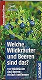 Welche Wildkräuter und Beeren sind das?: Kosmos Basic (Kosmos-Naturführer Basics)