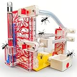 Ameisenfarm,Ameisennest mit Trinkwasser und Fütterungsfenster,Geeignet für Kinder, Studenten, Erwachsene um die Zuchtstation zu beobachten,Ameisenlebensraum des Lebens (Red)