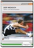 Der Mensch - Gehirn und Nervensystem - DVD - Lehrfilm für Unterricht und Ausbildung - Hagemann 180256 - Einzel- und Schullizenz