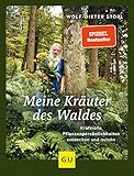 Meine Kräuter des Waldes: Kraftvolle Pflanzenpersönlichkeiten entdecken und nutzen