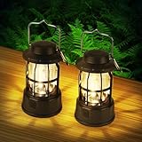 Flintronic 2 Stück LED Campinglampe Tragbar, IPX4 Wasserdichte Camping Licht, Batteriebetrieben Campinglampe, Dimmbare COB-Helligkeit & 3 Lichtmodi, für Outdoor, Nachtangeln, Garten, Notfall Ausfälle