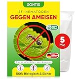 SONTIS - Aktive SF-Nematoden gegen Ameisen – 5 Mio für 10qm - Natürliche Unterstützung bei Ameisen im Garten - mit Nestwirkung – umweltfreundlich, ohne Chemie, einfach anzuwenden
