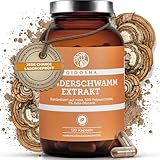 QIDOSHA® Zunderschwamm Extrakt Kapseln, 120 Stk im Apothekerglas, hochreiner Fomes fomentarius Extrakt mit 500mg je Kapsel, davon 50% Pilz-Polysaccharide mit mindestens 5% Beta-Glucanen, dt Fertigung