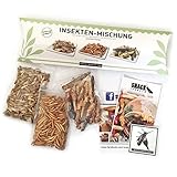 Essbare Insekten Mischung von 'SNACK insects' - 25g Insekten zum Essen - Grillen, Heuschecken & Mehlwürmer