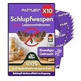 PATTLER® Schlupfwespen gegen Lebensmittelmotten - 10 Karten à 1 Lieferung - Effektiv Motten bekämpfen - Alternative zur Mottenfalle, Mottenspray, Pheromonfalle (10 Karten à 1 Lieferung)
