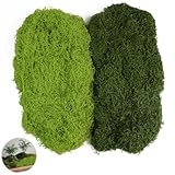 Hexizexi 200g Künstliches Moos Dunkelgrün und Hellgrün Kunstmoos zum Dekorieren Kunstmoos zum Basteln Fake Moos Geeignet für Wand Hochzeit Festtagsdekorationen DIY Modellbau