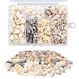 100 Stück Muscheln Gemischt, Deko Muscheln, Natürliche Muscheldekorationen, Meeresschnecken mit Aufbewahrungsbox, Aquarium und Vasefüllstoffe, Tiny Sea Shell, für Armbänder, Vasenfüllungen, DIY