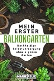 Mein erster Balkongarten: Nachhaltige Selbstversorgung ohne eigenen Garten